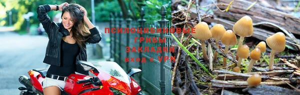 мет Абинск
