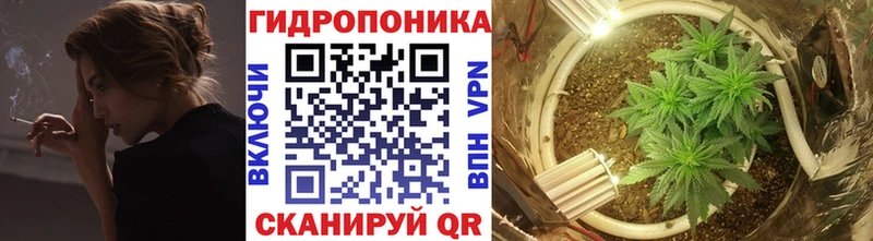 Шишки марихуана ГИДРОПОН  Заводоуковск 